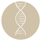 Humanised Type III Collagen