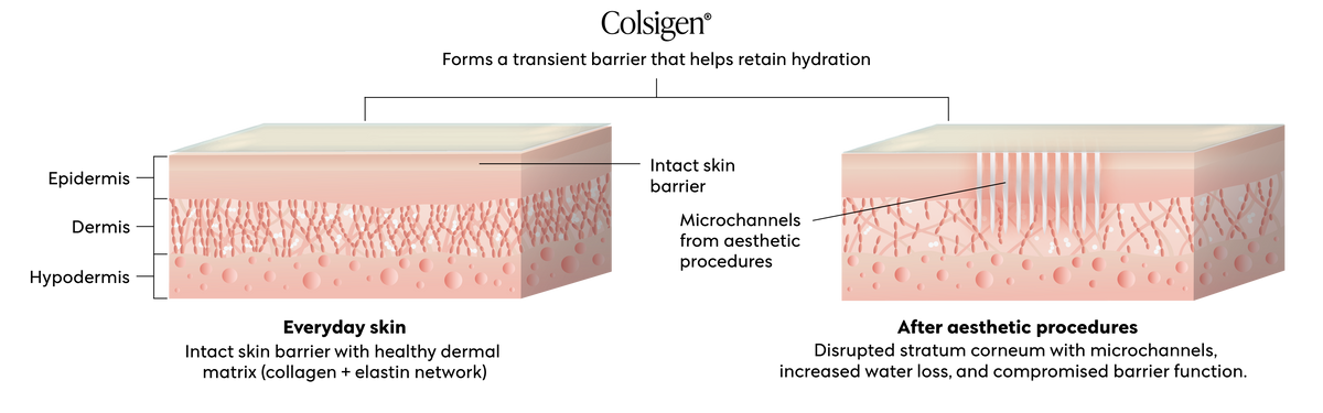 Where Science Meets Skin Recovery